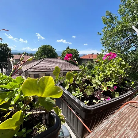 Legeto Pensionat 4*